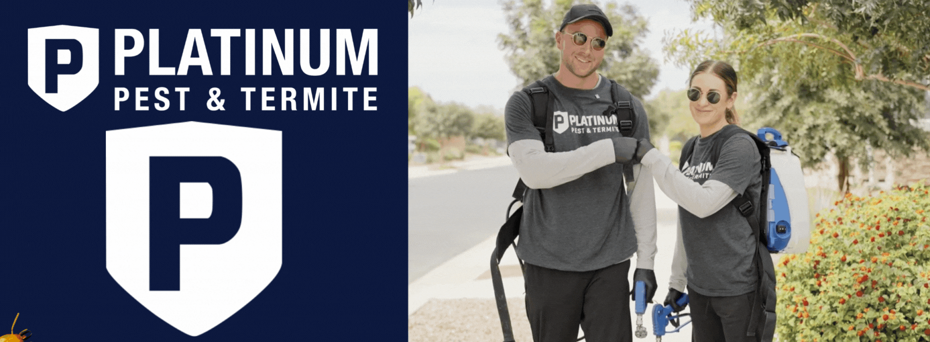 Platinum Pest Control Arizona